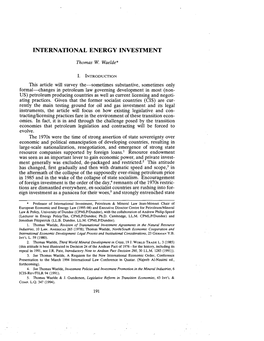 International Energy Investment