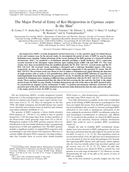 The Major Portal of Entry of Koi Herpesvirus in Cyprinus Carpio Is the Skinᰔ B