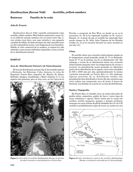 Zanthoxylum Flavum 85