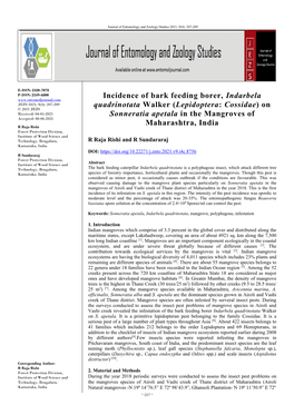 Incidence of Bark Feeding Borer, Indarbela Quadrinotata Walker