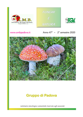 Funghi E Natura Gruppo Di Padova