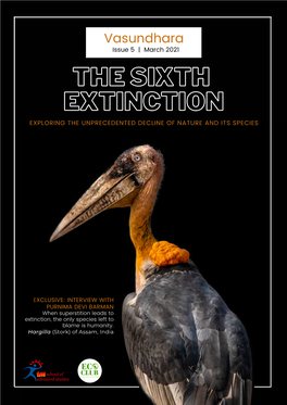 The Sixth the Sixth Extinction