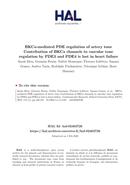 Bkca-Mediated PDE Regulation of Artery Tone