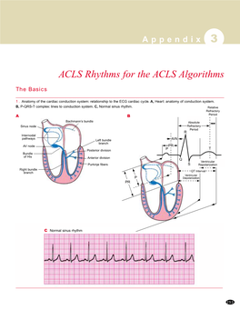 ACLS Rhythms for the ACLS Algorithms