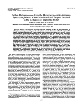 Sulfide Dehydrogenase from the Hyperthermophilic Archaeon