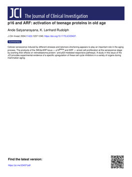 P16 and ARF: Activation of Teenage Proteins in Old Age