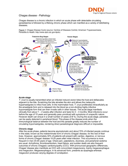 Chagas Disease - Pathology