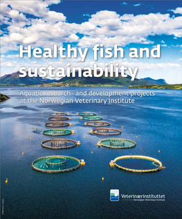 Healthy Fish and Sustainability