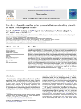 The Effects of Peptide Modified Gellan Gum and Olfactory Ensheathing Glia