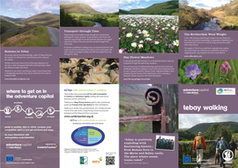 Tebay Walking Businesses and the Tebay and Orton Community