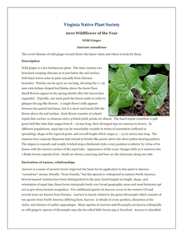 Virginia Native Plant Society's 2010 Wildflower of the Year