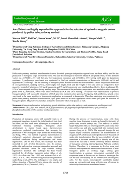 An Efficient and Highly Reproducible Approach for the Selection of Upland Transgenic Cotton Produced by Pollen Tube Pathway Method