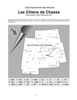 Les Chiens De Chasse Canes Venatici, Canum Venaticorum, Cvn