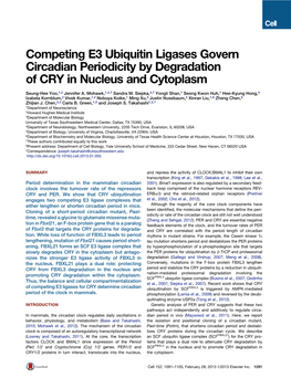 Ubiquitin Ligases Govern Circadian Periodicity by Degradation of CRY in Nucleus and Cytoplasm