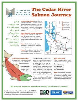 The Cedar River Salmon Journey