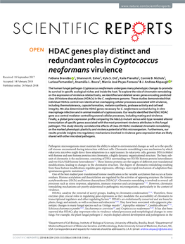 HDAC Genes Play Distinct and Redundant Roles in Cryptococcus Neoformans Virulence Received: 18 September 2017 Fabiana Brandão 1, Shannon K
