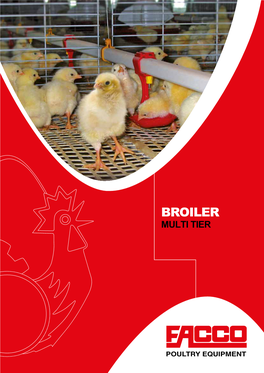 Broiler Multi Tier Broiler Multi Tier Broiler Multi Tier