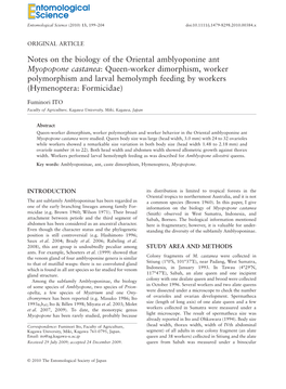 Notes on the Biology of the Oriental Amblyoponine Ant Myopopone Castanea: Queen-Worker Dimorphism, Worker Polymorphism and Larval Hemolymph Feeding by Workers