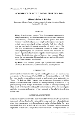 OCCURRENCE of SIEVE ELEMENTS in PHLOEM RAYS Kishore S. Rajput & K. S. Rao Solitary Sieve Elements Or Groups of Sieve Element