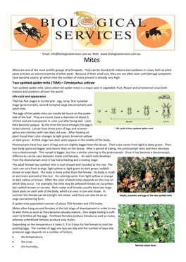 Mites Pest Information