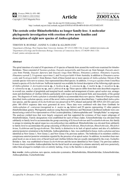 A Molecular Phylogenetic Investigation with Erection of Two New Families and Description of Eight New Species of Anthocephalum