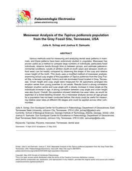 Mesowear Analysis of the Tapirus Polkensis Population from the Gray Fossil Site, Tennessee, USA