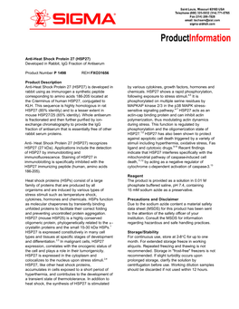 Anti-Heat Shock Protein 27 (HSP27) Developed in Rabbit, Igg Fraction of Antiserum