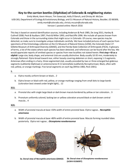 Key to the Carrion Beetles (Silphidae) of Colorado & Neighboring States
