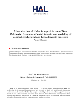 Mineralization of Nickel in Saprolitic Ore of New Caledonia: Dynamics of Metal Transfer and Modeling of Coupled Geochemical and Hydrodynamic Processes Andrey Myagkiy