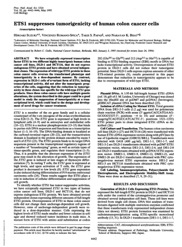 ETS1 Suppresses Tumorigenicity of Human Colon Cancer Cells (Transcription Factor) HIROAKI SUZUKI*T, VINCENZO ROMANO-SPICA*, TAKIS S