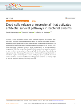 Dead Cells Release a 'Necrosignal' That Activates Antibiotic Survival Pathways in Bacterial Swarms