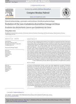 Evolution of the Non-Coelodonta Dicerorhine Lineage in China