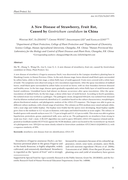 A New Disease of Strawberry, Fruit Rot, Caused by Geotrichum Candidum in China