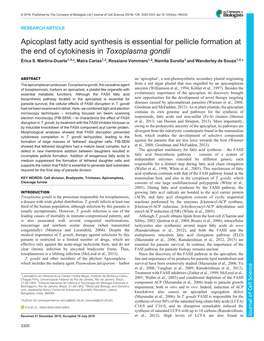 Apicoplast Fatty Acid Synthesis Is Essential for Pellicle Formation at the End of Cytokinesis in Toxoplasma Gondii Érica S