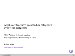 Algebraic Structures in Comodule Categories Over Weak Bialgebras