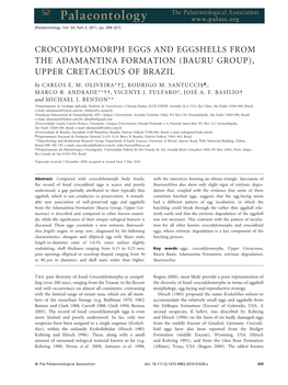 CROCODYLOMORPH EGGS and EGGSHELLS from the ADAMANTINA FORMATION (BAURU GROUP), UPPER CRETACEOUS of BRAZIL by CARLOS E