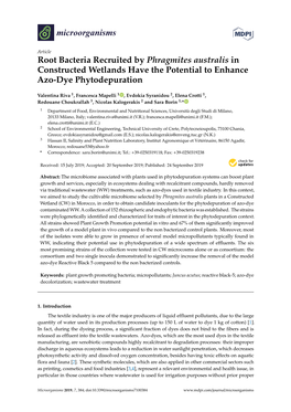 Root Bacteria Recruited by Phragmites Australis in Constructed Wetlands Have the Potential to Enhance Azo-Dye Phytodepuration