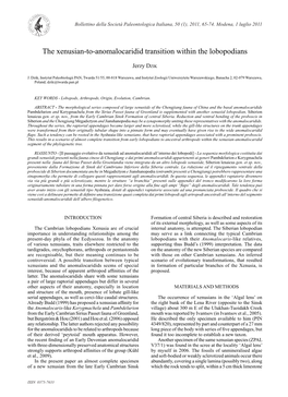 The Xenusian-To-Anomalocaridid Transition Within the Lobopodians