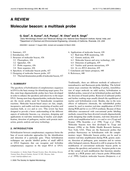 A REVIEW Molecular Beacon: a Multitask Probe