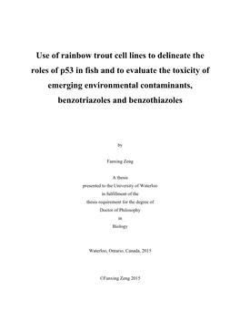 Use of Rainbow Trout Cell Lines to Delineate the Roles of P53 in Fish