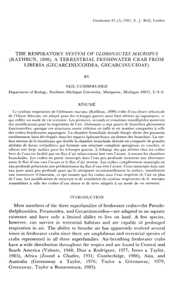 The Respiratory System of Globonautes Macropus (Rathbun, 1898), a Terrestrial Freshwater Crab from Liberia (Gecarcinucoidea, Gecarcinucidae)