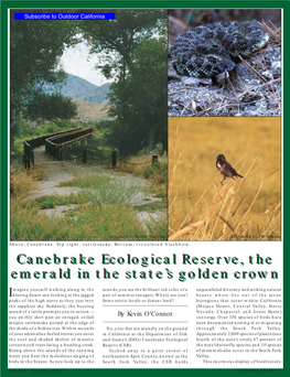 Canebrake Ecological Reserve, the Emerald in the State's Golden Crown