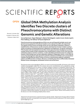 Global DNA Methylation Analysis Identifies Two Discrete Clusters Of