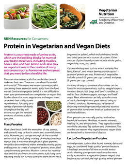 Protein in Vegetarian and Vegan Diets