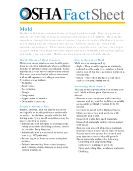 Mold Molds Are the Most Common Forms of Fungi Found on Earth