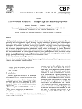 The Evolution of Tendon — Morphology and Material Properties૾