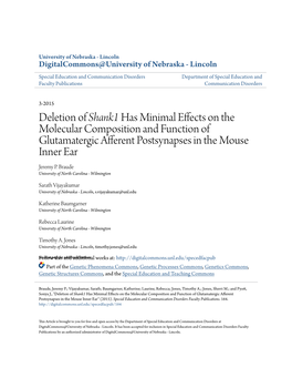 Deletion of <I>Shank1</I> Has Minimal Effects on the Molecular