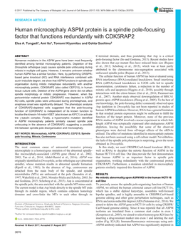 Human Microcephaly ASPM Protein Is a Spindle Pole-Focusing Factor That Functions Redundantly with CDK5RAP2 Elsa A