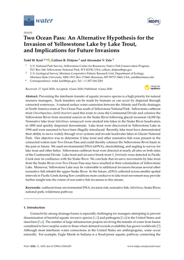 An Alternative Hypothesis for the Invasion of Yellowstone Lake by Lake Trout, and Implications for Future Invasions