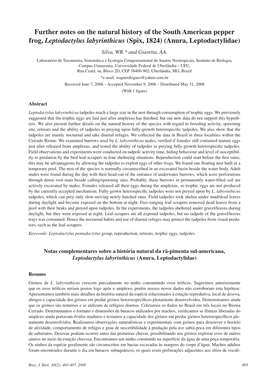 On the Natural History of the South American Pepper Frog, Leptodactylus Labyrinthicus (Spix, 1824) (Anura, Leptodactylidae) Silva, WR.* and Giaretta, AA